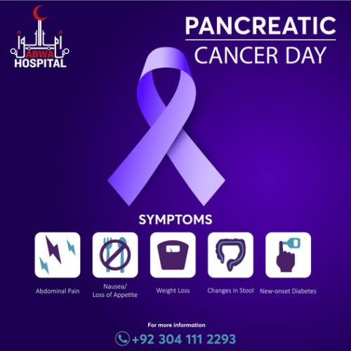 PANCREATIC Cancer Day