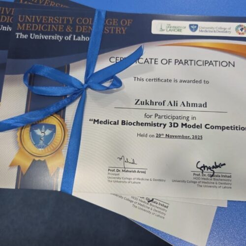 First-Year MBBS Students Impress at Intercollegiate Biochemistry 3-D Model Competition 2025